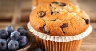 0blueberry muffin