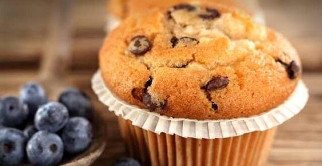 0blueberry muffin