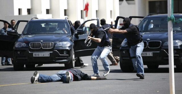 الجريمة المنظمة