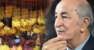 أزمة الموز بالجزائر
