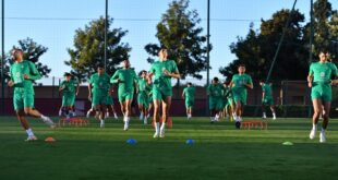 أسود الأطلس