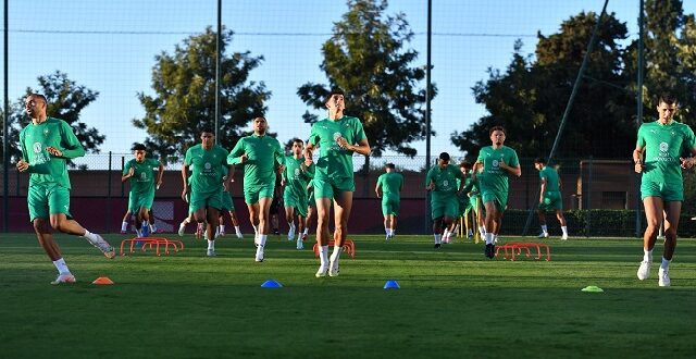 أسود الأطلس