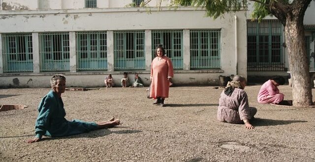 الصحة العقلية بالجزائر