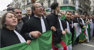 محامو الجزائر