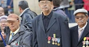 الحركي بالجزائر