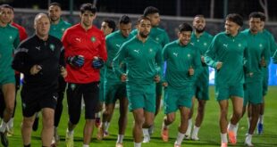 أسود الأطلس