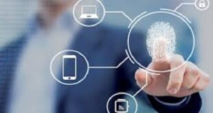 الحق في الحصول على المعلومة