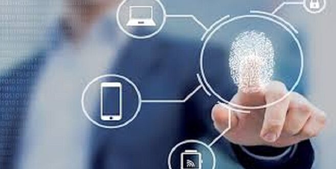 الحق في الحصول على المعلومة