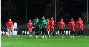 أسود الأطلس