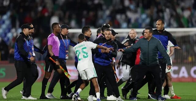 منتخب الجزائر