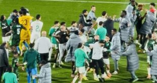 منتخب الجزائر