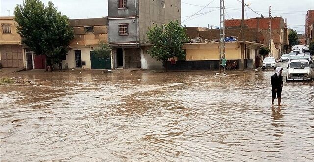 فيضانات الجزائر