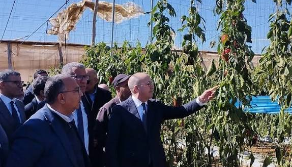 في زيارة ميدانية.. وزير الفلاحة يقيم الأضرار الناجمة عن الرياح القوية باشتوكة أيت باها