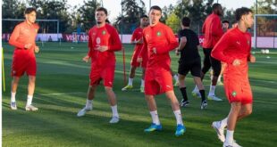 أسود الأطلس