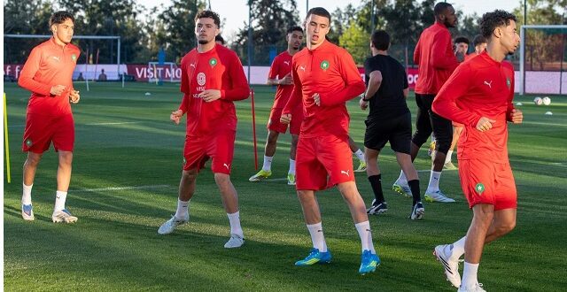 أسود الأطلس