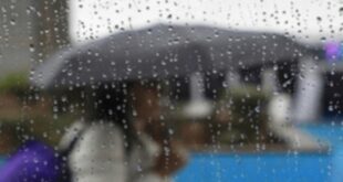 pluie