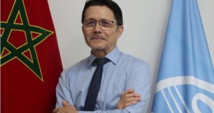 الفاو