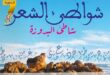 safi